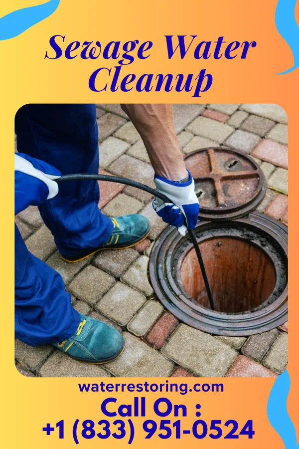 Sewage Water Cleanup in Crystal Falls, MI